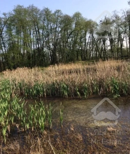 اجاره ویلا باغ جنگلی