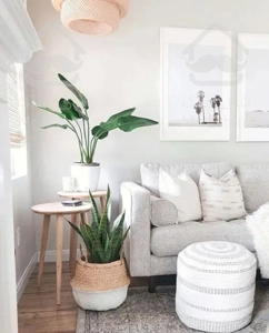 منظریه ،۱۷۰ متر ، تک واحدی، نور شمال و جنوب