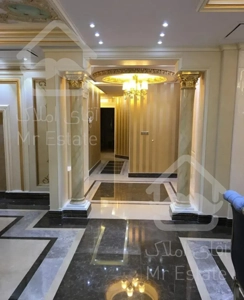 زمین 300 متری / کاخ اپارتمان سلطنتی