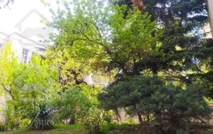 ۱۱۰ متر ۲ خوابه / نور  / مشجر / فرمانیه