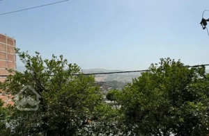 210 ویودار زیباشهر
