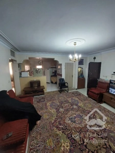 ۸۱ متری سند تک برگ