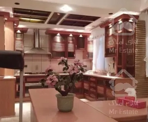 تکواحدی 300 متری دولت اختیاریه