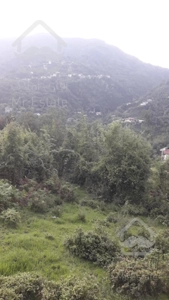 فروش زمین ویودار با بنای نیمه کاره