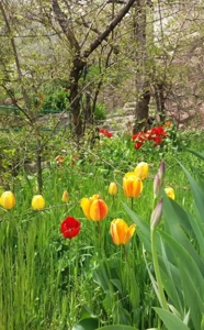 فشم و میگون ویلای دوبلکس