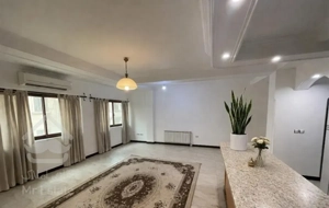 آپارتمان ۹۴ متری در نخست وزیری