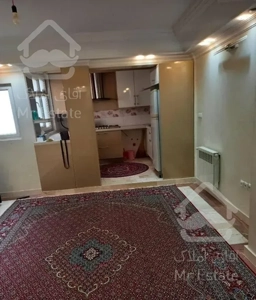 آپارتمان 48متره یک خواب