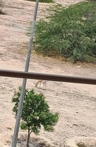 فروش آپارتمان ۱۲۸ متری ۳ خوابه وی آی پی پاسارگاد