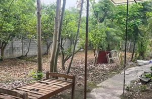 شمال جاده کیاکلا