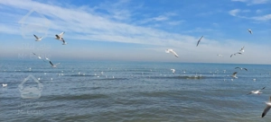 ۴۰۰ متر زمین ساحلی جاده به ساحل