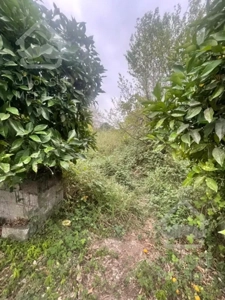 فروش فوری زمین بافت شهرکی زیر قیمت