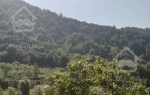 ویلا در دل جنگل ورودخانه