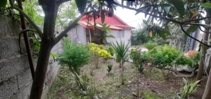 خونه ویلایی ۲۸۸متری دارم فروش