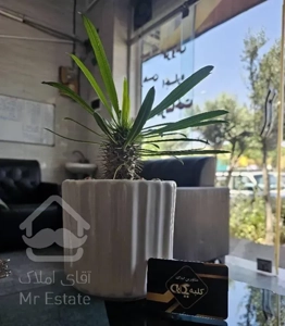 70 متره شهمیرزاد بر بلوار اصلی