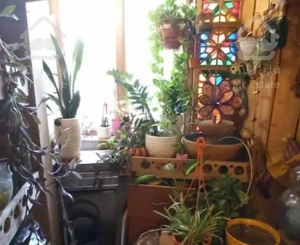 ۸۵ متر ۲ خواب فول امکانات رو به جنوب فلکه دوم