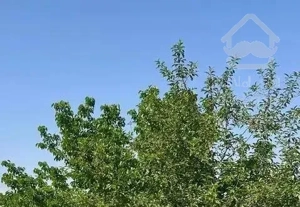 زمین2هزارمتری زعفرون۴ساله شاهنامه معاوضه خودرو