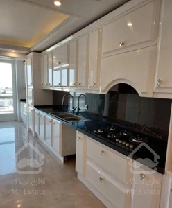 ۲۶۵ متر غرق هنر در میرداماد