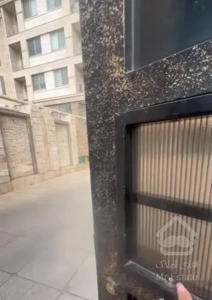 فردوس شرق وفا آذر۸۸متر فول/رویایی/۸ساله/تخلیه