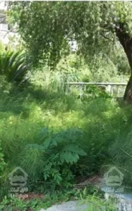 ویلا شهرکی 505 متری کلارآباد