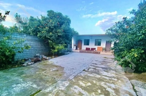 ویلا باغ 260متردرختان مرکبات سندتک برگ فریدونکنار