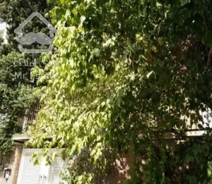 ۱۷۵ متر خانه ویلایی دروس