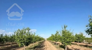 باغ میوه آب برق سند نگهبان شاهنامه گوارشک شرایطی