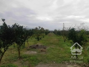 فروش فوری زمین