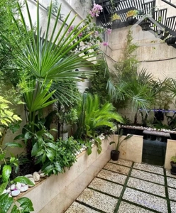 ۲۸۰متر بنادر ۱طبقه درب مستقل دانشجو۶ مناسب دفترکار