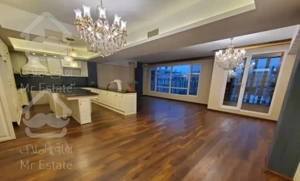 امیرآباد۱۹۰متر تکواحدی//۳پارکینگ