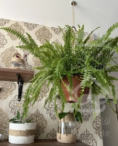 آپارتمان ترکیه ،استانبول