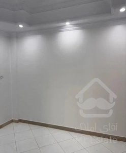 ۵۳متر پارکینگ آسانسور تخلیه پهلوان حسن نقاشی شده