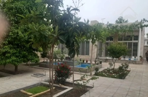 ۸۰ متر پوریایی ولی