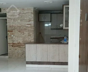 پونک شاهین شمالی ۵۵متر نقلی