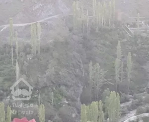 باغ وویلا 4 خوابه