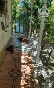 باغ ویلا حدود۱۵۰۰متر در روستای سر سبز خوش آب هوا