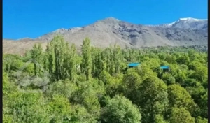 زمین باغ ویلا