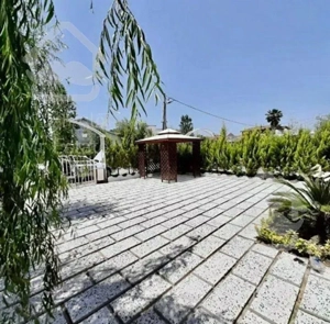 ویلانمارومی منطقه جنگلی نور