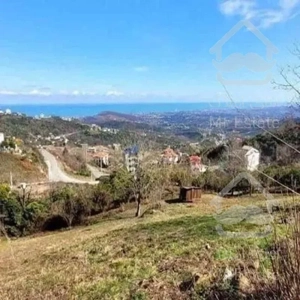 زمین 500متری ویو ابدی360درجه دریا وجنگل -منطقه سلیمان اباد