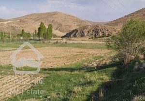 زمین 30 هکتار-چالوس -سرمایه گذار