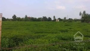 فروش زمین مسکونی 15000 متر در سلیمان آباد