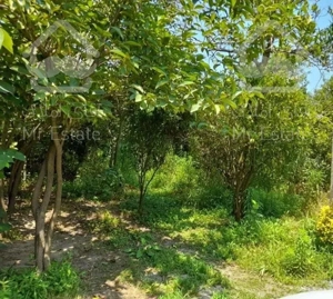 زمین 303 متر -کاسبی-مناسب ساخت وساز-نصیرمحله