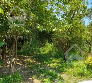 زمین 600 متر-مناسب ساخت وسرمایه گذاری- کترا