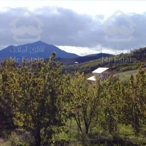 زمین مسکونی 444 متر_ویودار_مناسب ساخت و ساز_شمیران