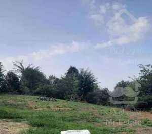 فروش زمین مسکونی 2500 مترمناسب سرمایه گذاری سلیمان آباد