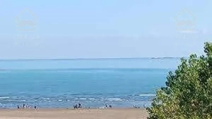 زمین پلاک 1دریا - 1000 متر- مناسب ساخت و سرمایه گذاری مرکز شهر