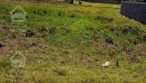 فروش زمین مسکونی 250 متر در خیابان فردوسی شرقی