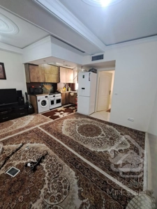 ۶۱ متر تکواحدی کارون