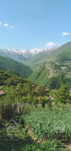 زمین ییلاقی،ییلاق دالخانی(ولنگان)