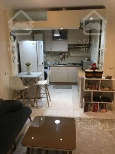 ۴۷ متر/خوش نقشه/با پارکینگ/استاد معین