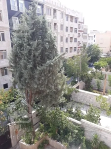 بازسازی شده/خطی روبه نما